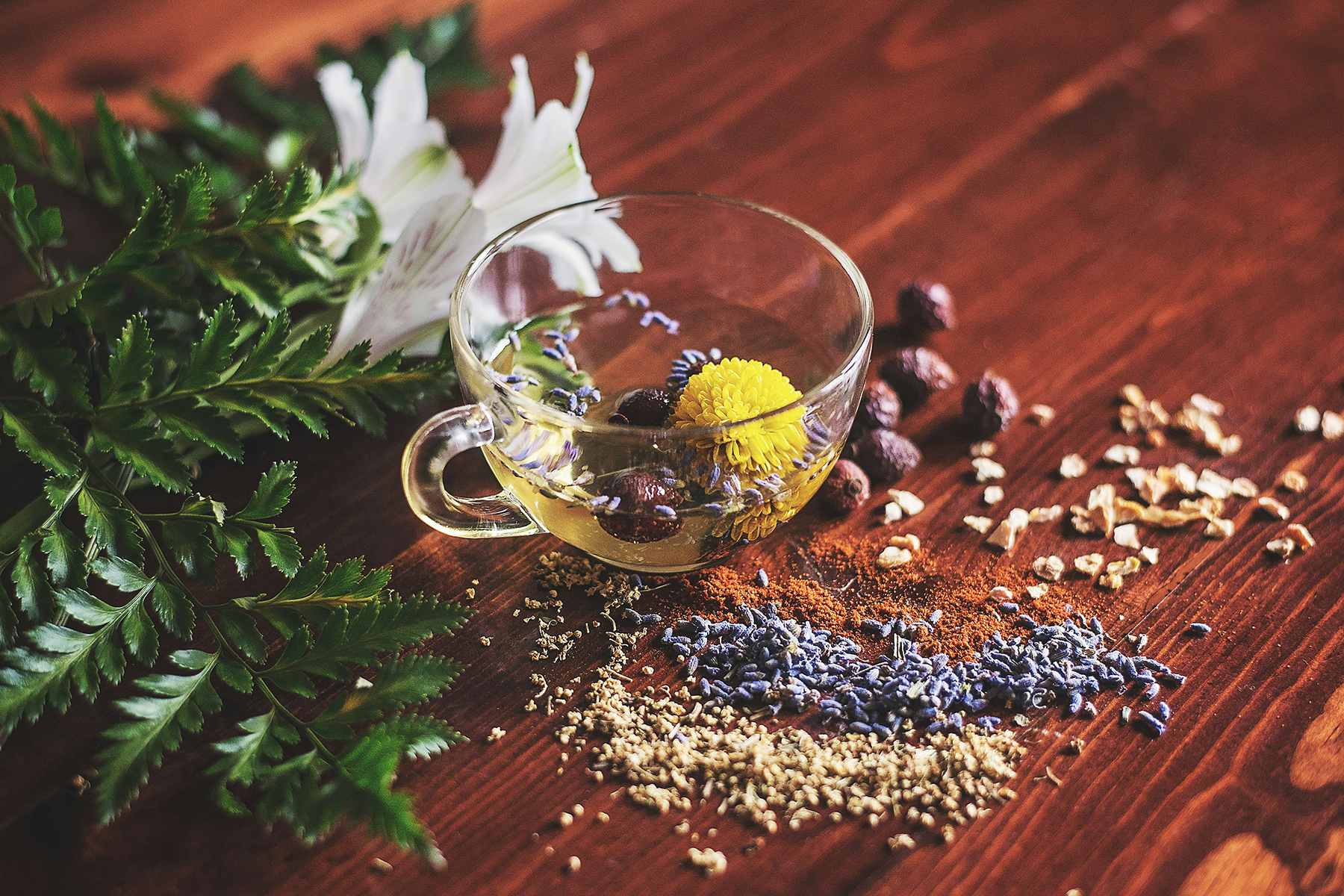 Read more about the article Boosting Your Immune System Before the Holidays